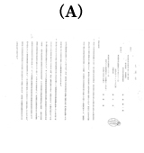 「東海銀行による告訴状」(A)